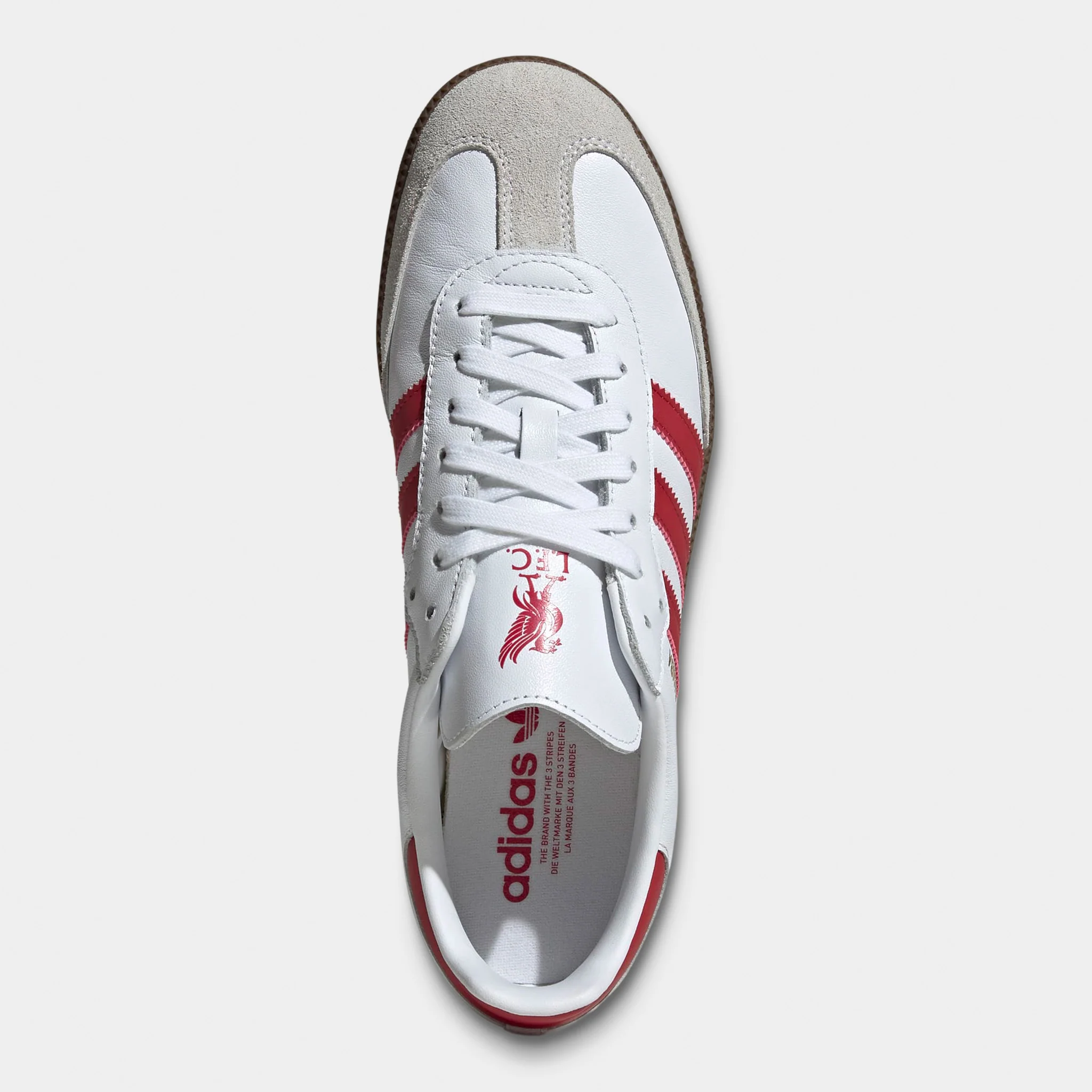 adidas LFC Samba White / Strawberry - Image 5