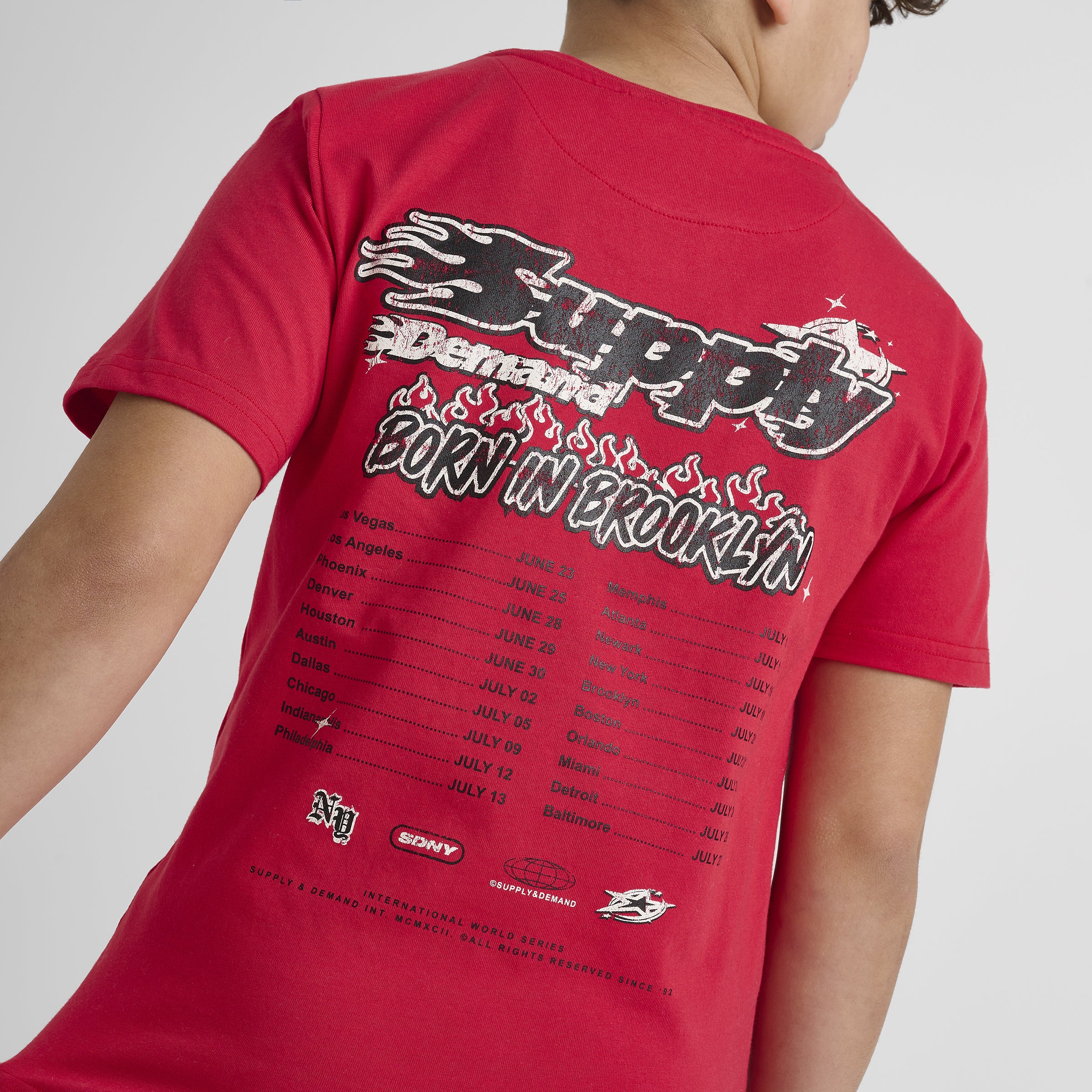 Supply & Demand Junior Boys' Martinez Tee Red / Black - Image 4