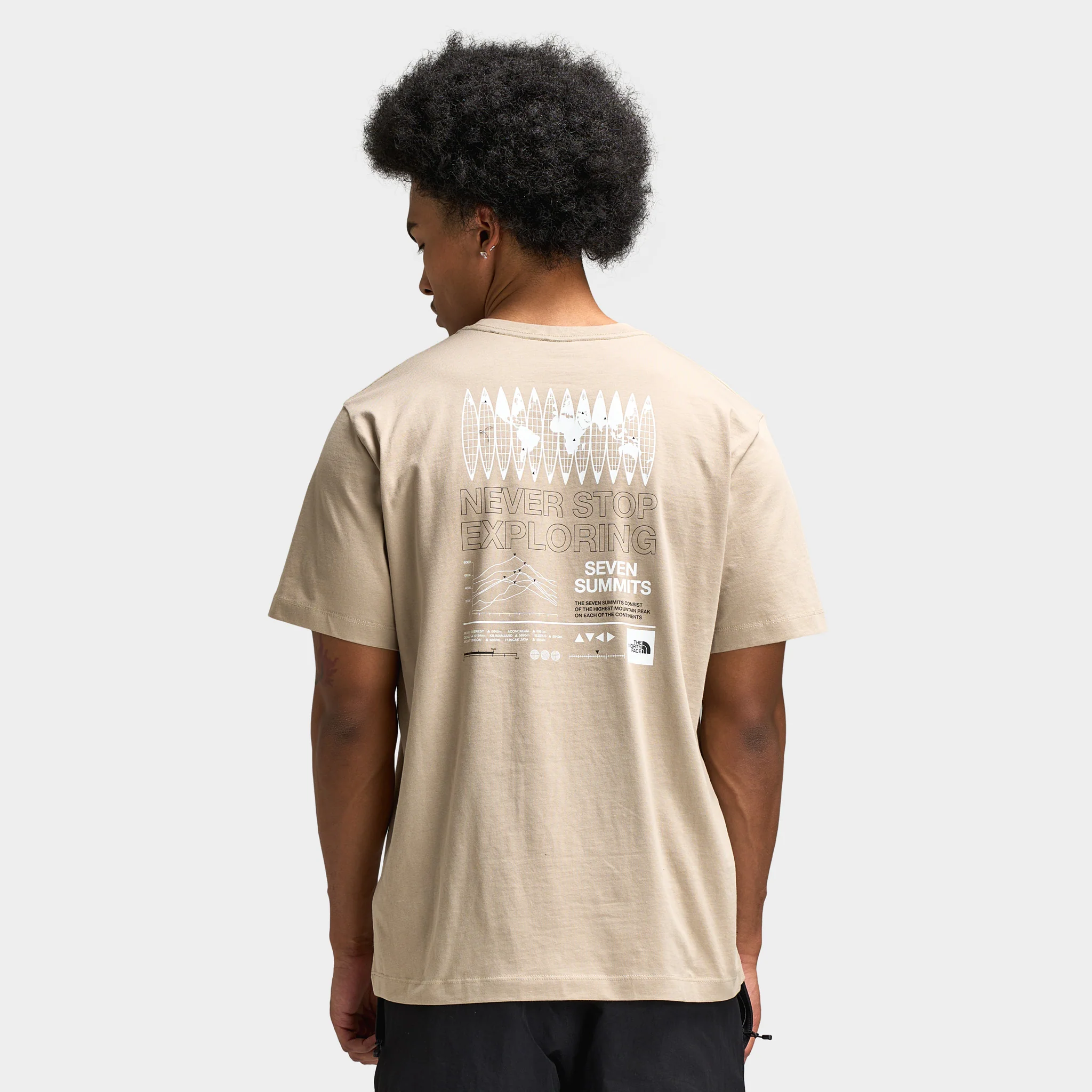 The North Face Globe Relaxed Tee / Flax - Image 6