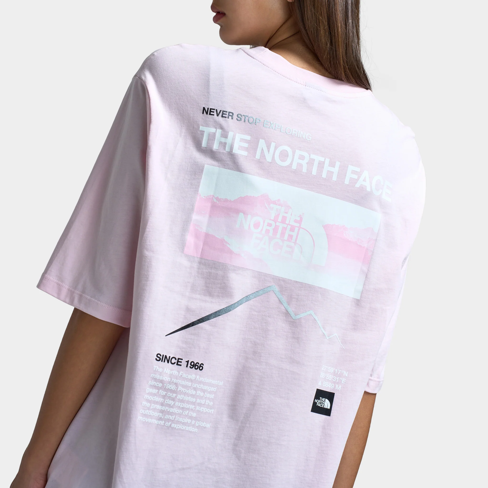 The North Face Women's Gradient Flow Oversized Tee / Pale Blossom - Image 4