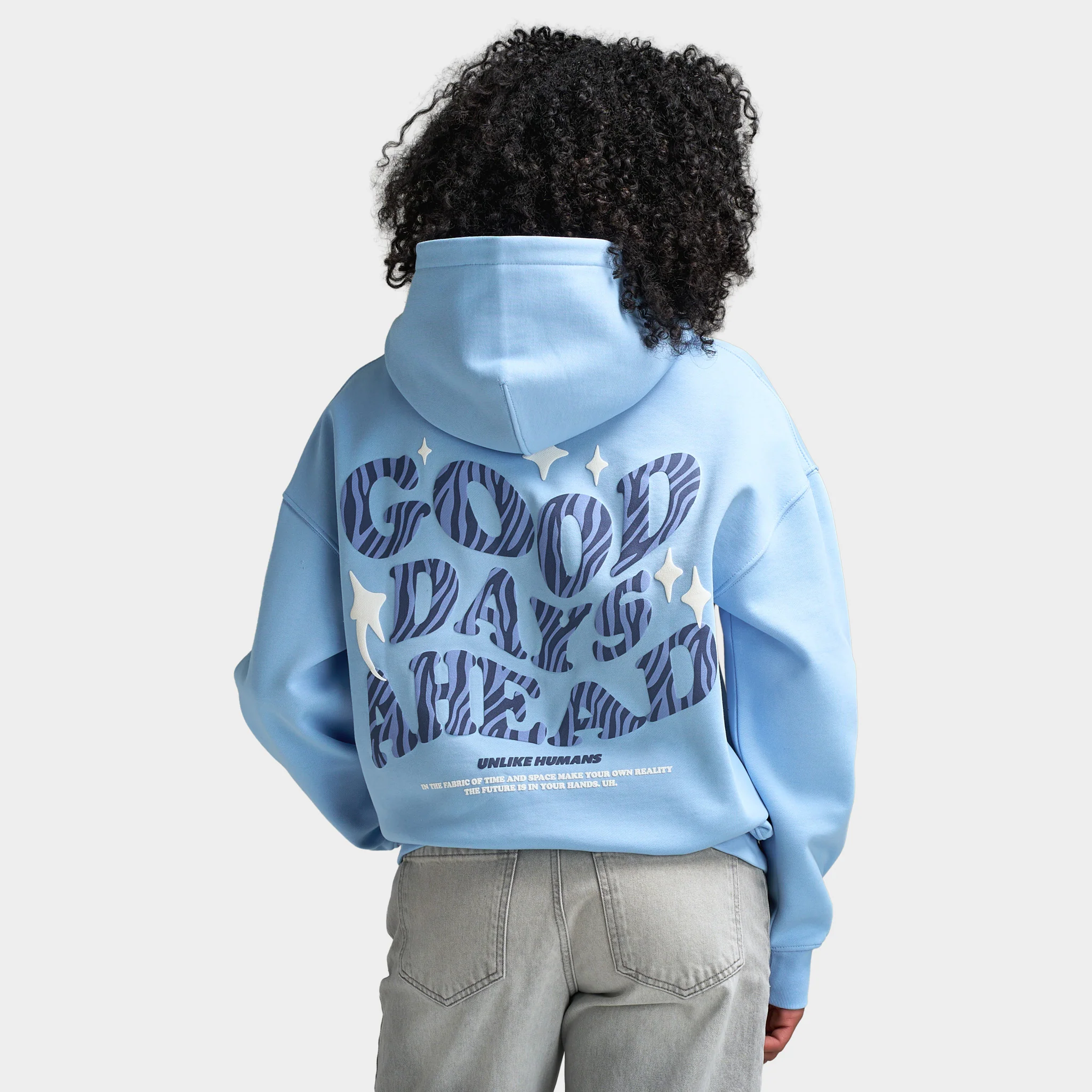 Unlike Humans Zebra Days Hoodie / Dutch canal - Image 2